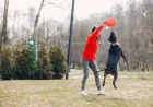 Dog Training Washington DC: Professional In-Home Training for Better Behavior and Lasting Results