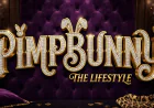How PimpBunny Fits into the Evolving Digital Content Landscape