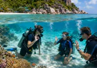 Is Koh Tao Good for Family and Beginner Scuba Diving?