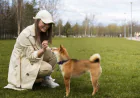 How a Professional Dog Trainer Philadelphia PA Can Solve Behavior Problems Faster Than Group Classes