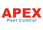 Top Wasp Nest Removal Costs in Yorkshire: 2026 Price Guide