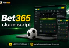Exploring the Development Process of Bet365 Clone Script for Sports Betting Enterprises
