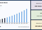 Emerging Opportunities in the Portable Blender Market
