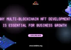 Why Multi-Blockchain NFT Development Is Essential for Business Growth