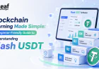 Blockchain Learning Made Simple: A Beginner-Friendly Guide to Understanding Flash USDT