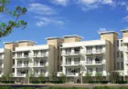 Why DLF Pinjore Panchkula Is the Next Real Estate Destination
