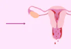 First Period After C-Section: What to Expect, Symptoms & Recovery