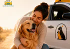 Book DEFRA Approved Pet Taxi Near Me in Europe