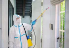 How to Keep Your DHA Karachi Home Pest-Free: Practical Guide for Residents