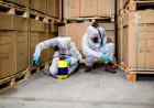 Commercial Pest Control Services for BC Properties