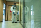 The Smart Case for Residential Pest Control Services in BC