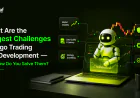 What Are the Biggest Challenges in Algo Trading Bot Development and How Do You Solve Them?