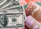 USD to PKR & Money Exchange Lahore | LinkExchange