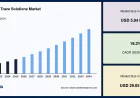 Why the Liquid Soap Market Is Booming Worldwide