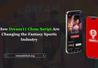 How Dream11 Clone Script Are Changing the Fantasy Sports Industry?