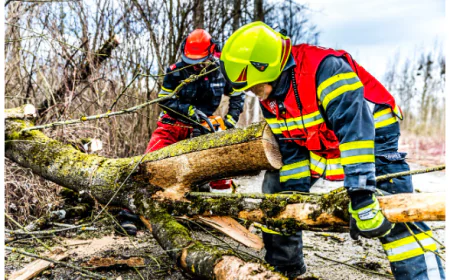 Storm Damage Insurance Claim Denied? Here Is What to Do