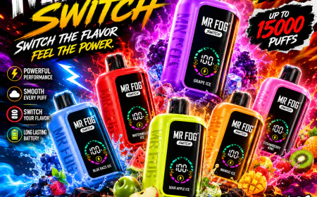 Mr Fog Technology and Innovation in Disposable Vapes Today