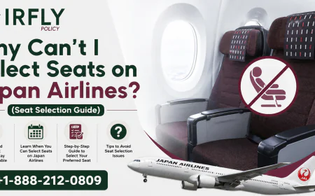 Seat Selection on Japan Airlines [Cost | Fee | Rules] – Don’t Miss Best Seats! 