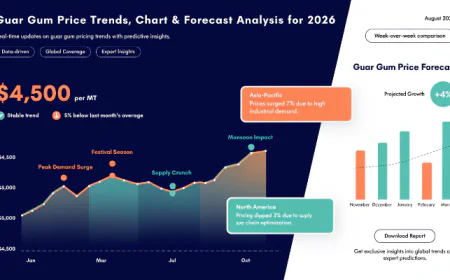 Guar Gum Price Chart: Latest Trends, Market Insights & Forecast 2026
