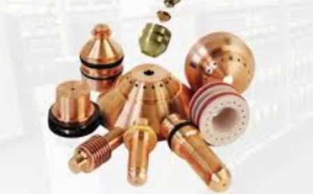 Key Factors to Consider When Choosing a Placut Spares Parts Supplier for Industrial Applications