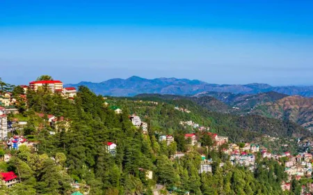 Why a Shimla Tour Package is Perfect for Your Next Holiday