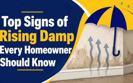 Top Signs of Rising Damp Every Homeowner Should Know