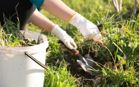 Why High-End Lower Mainland Estates Invest in Expert Care