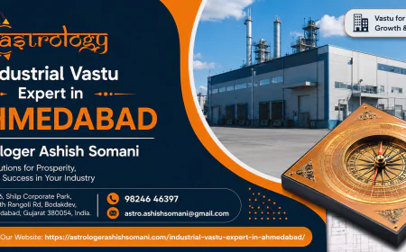 Industrial Vastu Solutions for Business Success | Astrologer Ashish Somani
