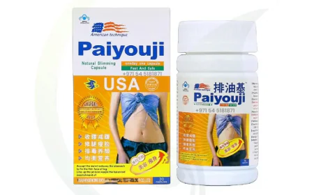 Paiyouji Uncovered: Features, Facts and User Interest Explained