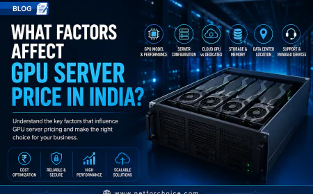 What Factors Affect GPU Server Price in India?
