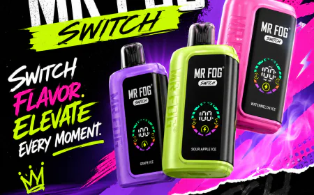What to Know Before Choosing a Mr Fog Vape Device for Daily Use