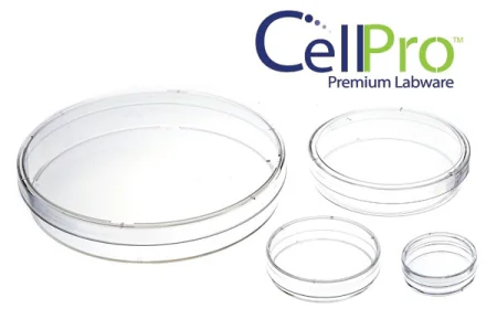 What Are Cell Culture Dishes and Plates, and Why Are They Important?