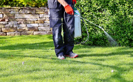 The Premium Approach to Fine Turf: Elite Weed Control Services for Lower Mainland Estates