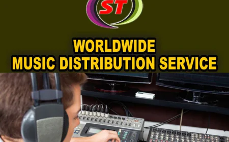 Why Every Emerging Artist Needs a Reliable Music Distribution Company India