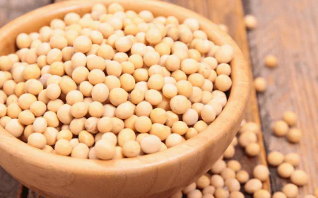 What Are the Potential Side Effects of Insoya?