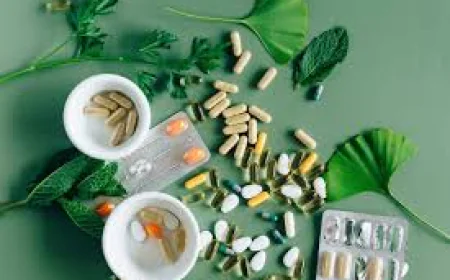 The Best Gut Health Supplement for Better Digestion and Everyday Wellness