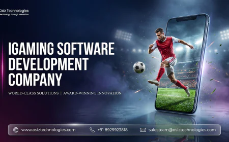 What Is the Future of iGaming Software Development in the Next 5 Years  