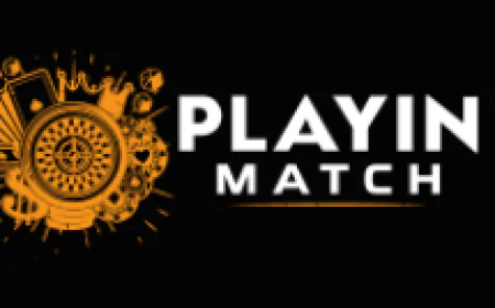 Inside Playinmatch: Sports, Casino Features and Account Access Explained
