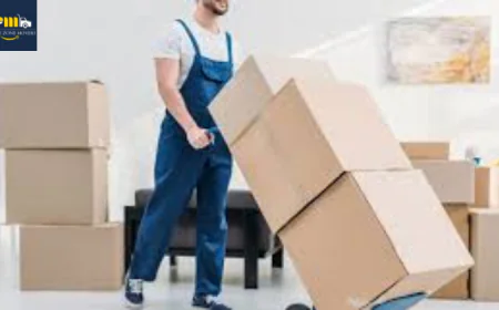 Top-Rated Movers and Packers Dubai | Prime Zone Movers