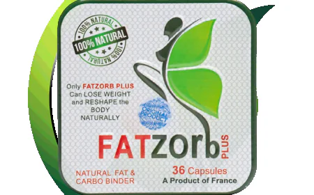 Struggling With Constant Hunger? How Fatzorb Plus May Support Appetite Control