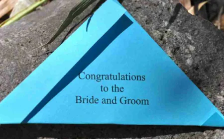 How Do You Release Butterflies for a Safe Ceremony