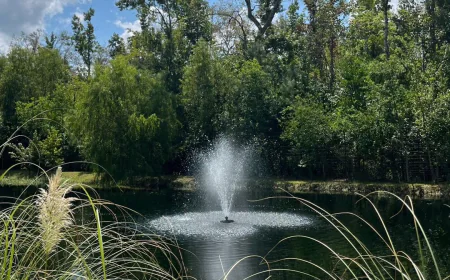 3/4 hp Pond Fountain Solutions for Healthier Outdoor Ponds