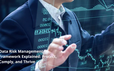 Data Risk Management Framework: Building a Safer and Smarter Data Strategy