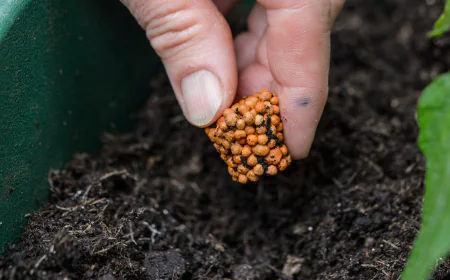 How to Dose Fertilizer