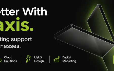 Nepaxis: Smart Digital Solutions for Growing Businesses