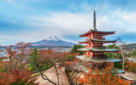 How to Plan a Family Holiday in Japan from India