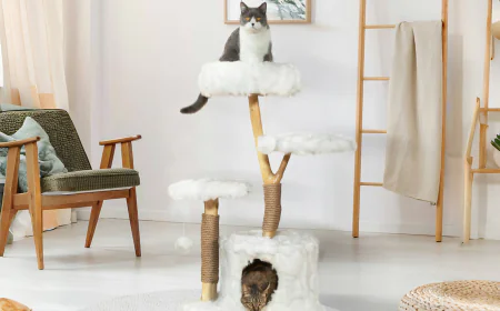 Die Vorteile Von Einem Natürlicher Kratzbaum Für Aktive Katzen