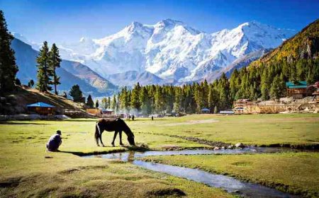 Kashmir Holiday Packages That Show the Best of the Valley