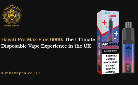 Hayati Pro Max Plus 6000: The Ultimate Disposable Vape Experience in the UK