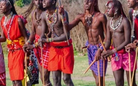Why Maasai Mara Is the Highlight of Every Kenya Safari Tour